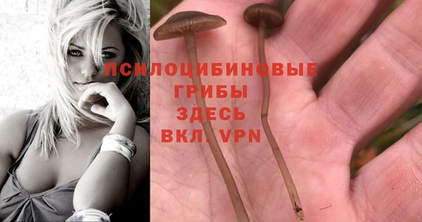 ешки Алзамай