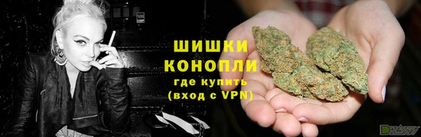 ешки Алзамай