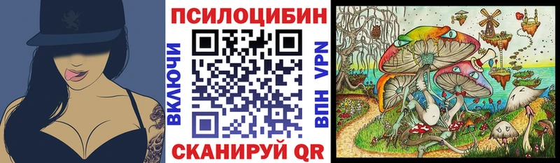 продажа наркотиков  Новозыбков  Галлюциногенные грибы MAGIC MUSHROOMS 